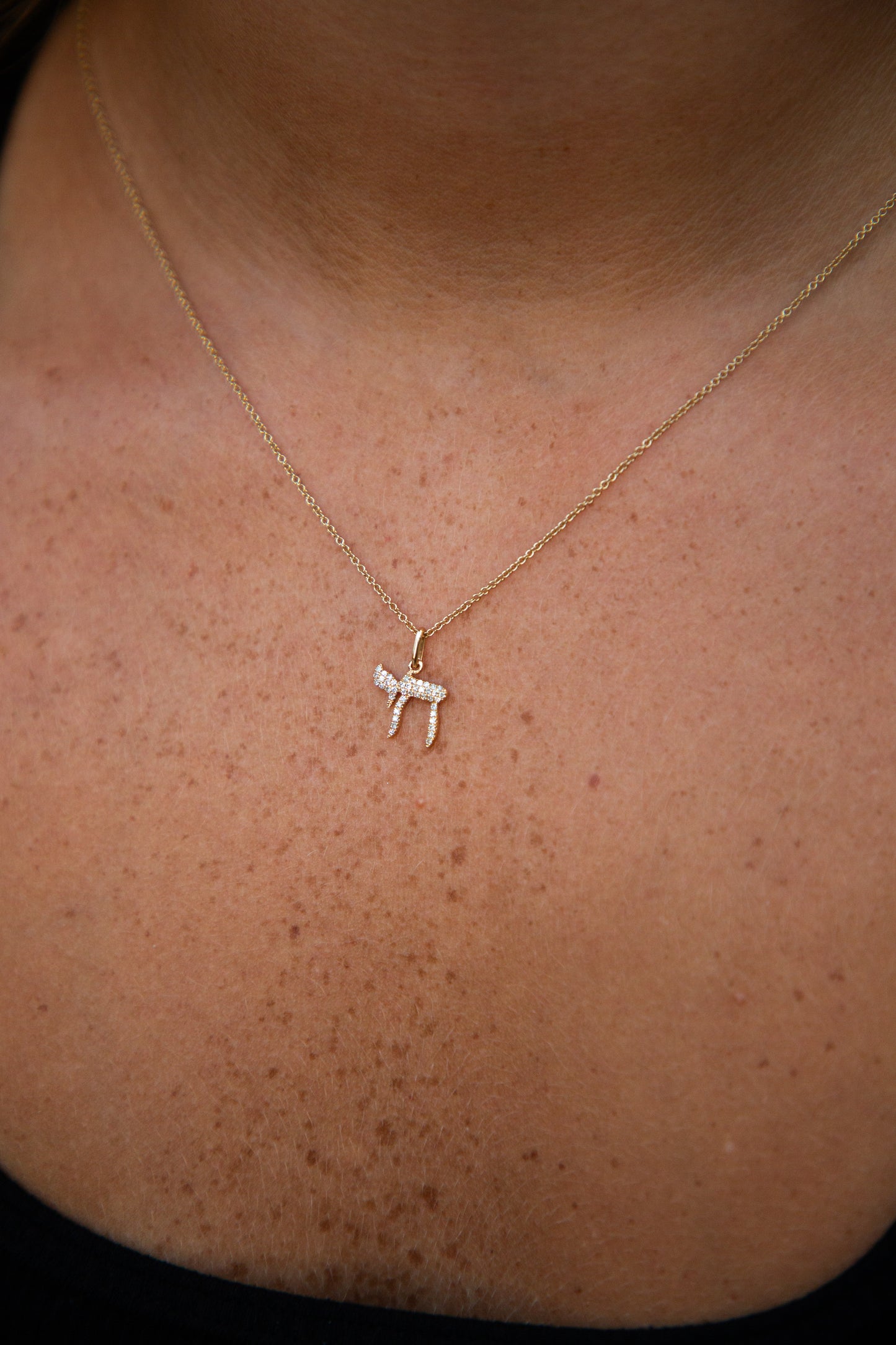 Petit Diamond Chai Necklace